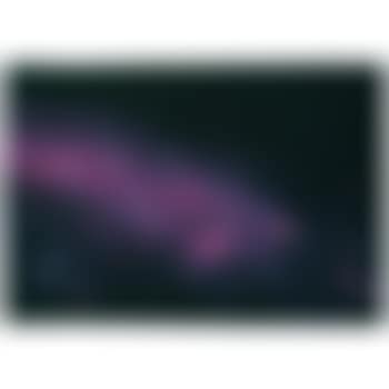 Tapis mécanique Milkyway , (preview)