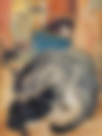 Katzen (Cats) (preview)