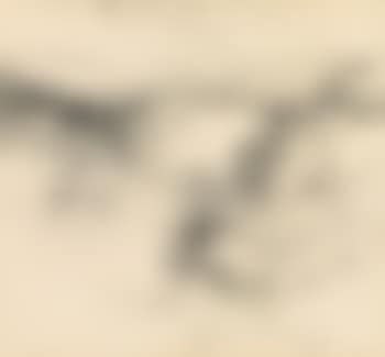 Landscape (preview)