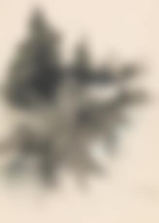 Forrest Landscape (preview)