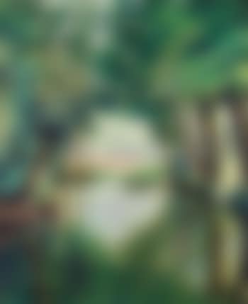 Landscape (preview)