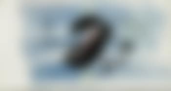 Senza titolo (preview)