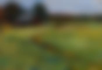 Rural Landscape (preview)