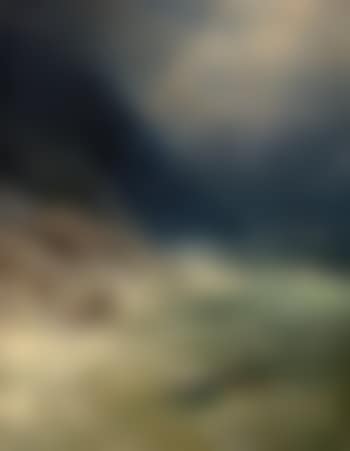 The Survivor (preview)