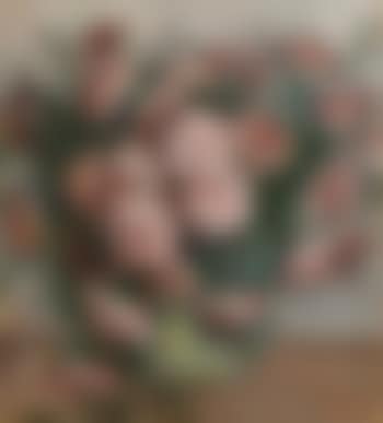 Carnations in a Vase (preview)