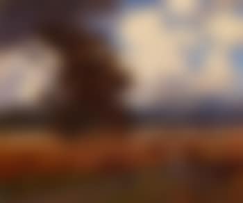 The Harvest (preview)
