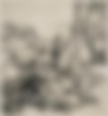 Der Liebesantrag (preview)