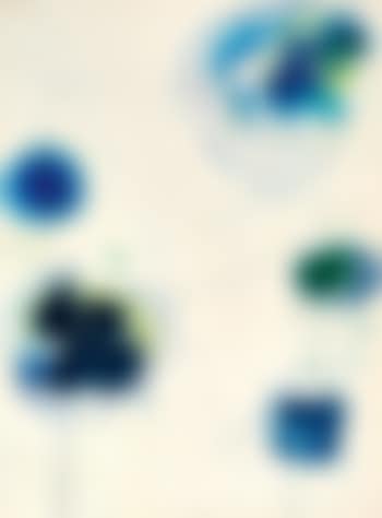 Blue Balls (preview)