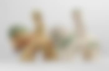 Cavaliers , (preview)