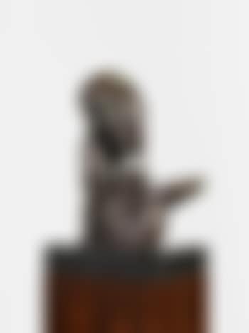 Archaeopteryx (preview)