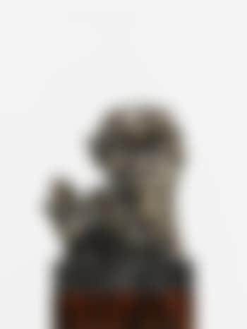 Soldier of Fortune 'Jean' (Honey) (preview)