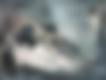 Nue Couchee (Reclining Nude) (preview)