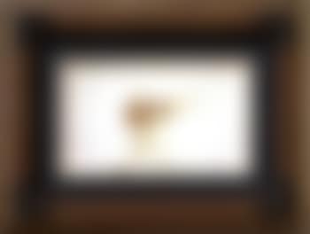Autoportrait en centaure (preview)