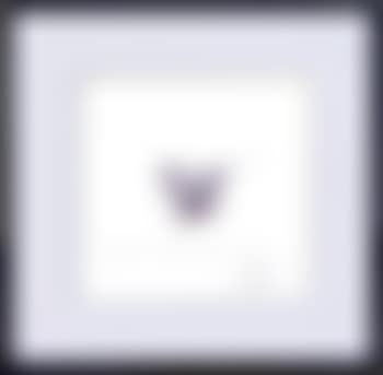 Poule (preview)