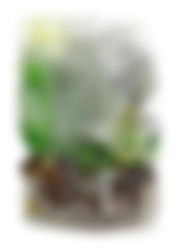Compression (preview)