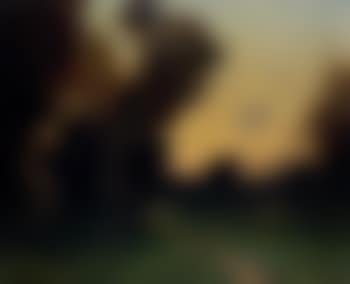 Crépuscule sur le chemin (preview)