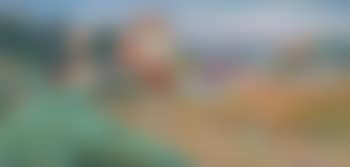 Saint-Tropez, les vignes (preview)