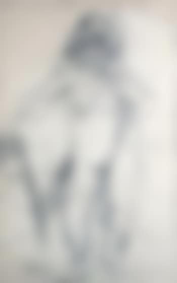 Le nu (preview)