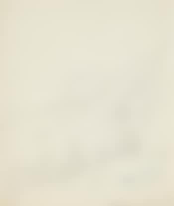 Bewaldete Gebirgslandschaft (preview)