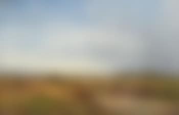 Weite Landschaft mit Schafhirten und Staffagefiguren (preview)