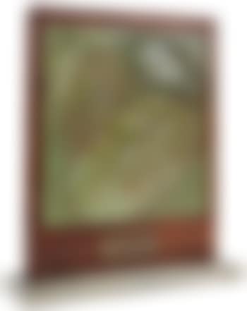 Rayon de soleil (preview)