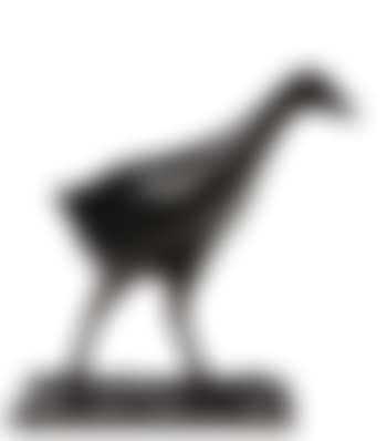 Poule d’eau (preview)
