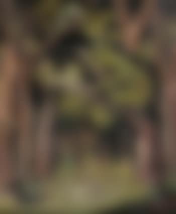 Figure standing in a Congolese forest (preview)