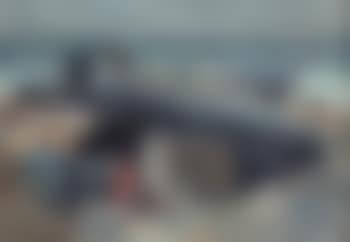Sloops at the beach (preview)