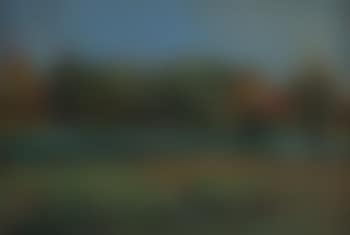 Summer landscape (preview)