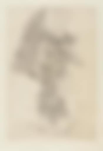 Don Quichote (preview)
