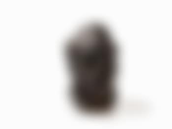 Self-portrait (preview)