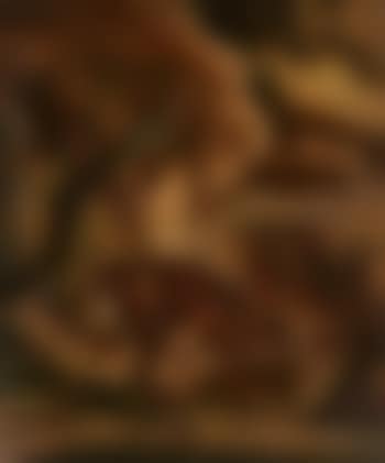 A Lynx attacking a Stag (preview)