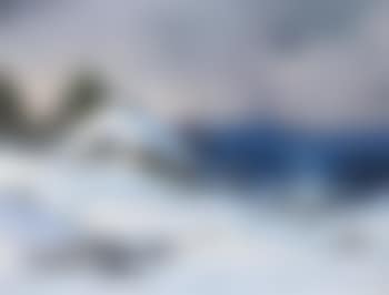 Stormy weather in the snow-covered Black Forest (preview)