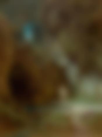 Badende Nymphe (Bathing nymphs) (preview)