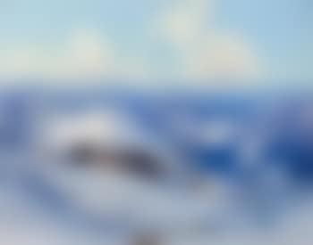 Sunny winter's day in the Black Forest (preview)