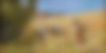 Les moissons , (preview)