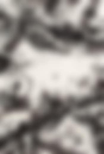 Metal Field (SF-123) (preview)