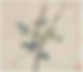 Flower (preview)