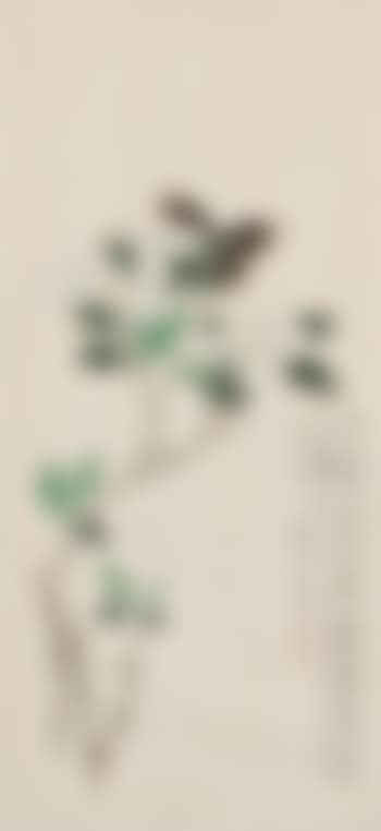 Flower (preview)