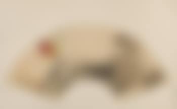 Lotus (preview)