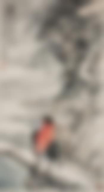 Snowing (preview)