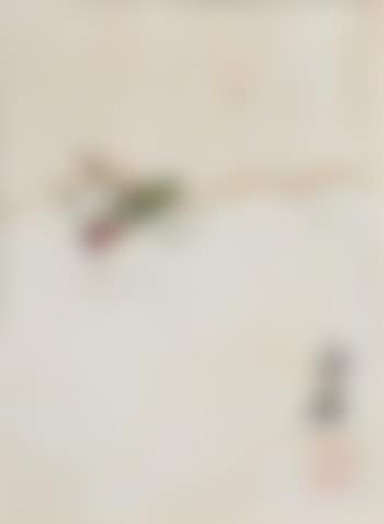 Grasshopper (preview)