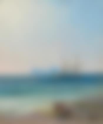 View from the coast towards the sea with two-master (preview)