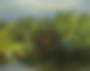 Paysage au pont (preview)