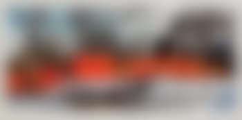 The Gates, Central Park, New York City (preview)