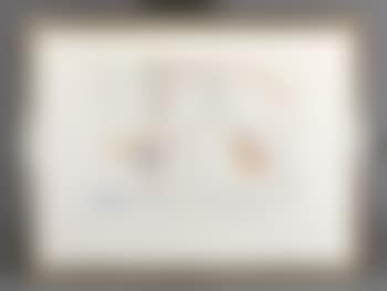 Diane de Poitiers (preview)