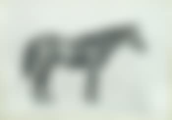 Study of Warrior- study No. 3, General Jack Seely's war horse Warrior, who survived four years on the Western Front (preview)
