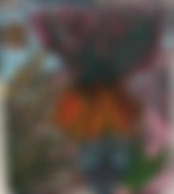 Masques et fleurs (preview)
