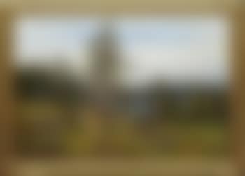 Skogspromenad (preview)