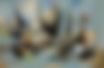 Basquaise (preview)